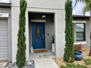 Elegant entryway with a stylish blue door and manicured greenery at 14015 Arbor Pines Dr, Riverview, FL 33579