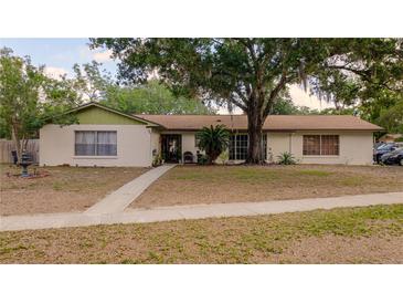 Charming single-story home with a well-maintained lawn and mature tree at 502 Dewolf Rd, Brandon, FL 33511