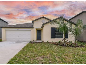 Charming single-story home with a well-maintained lawn and a two-car garage at 9828 Branching Ship Trace, Wesley Chapel, FL 33545