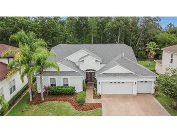 Beautiful home featuring lush landscaping, a three-car garage, and a well-maintained roof at 10515 Canary Isle Dr, Tampa, FL 33647