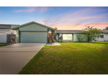 Charming single-story home featuring a well-manicured lawn and attached garage at 15917 Crying Wind Dr, Tampa, FL 33624