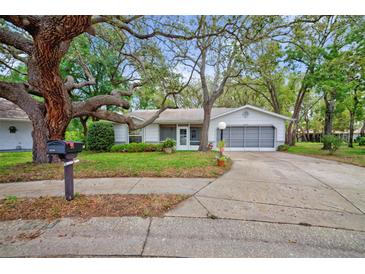 Charming single-story home featuring mature trees, green lawn, and an attached garage at 8619 Gold Pine Dr, Port Richey, FL 34668