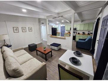 Inviting living room features a comfortable sofa, modern décor, and seamless transition to a well-equipped kitchen at 1335 Waikiki Way, Tampa, FL 33619