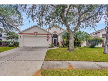 Charming single-story home featuring a well-manicured lawn, mature trees, and a two-car garage at 25101 Hyde Park Blvd, Land O Lakes, FL 34639