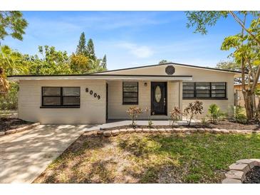 Charming single story home featuring updated paint, landscaping, and a well-manicured front lawn at 8009 Somerset Ln, Tampa, FL 33615
