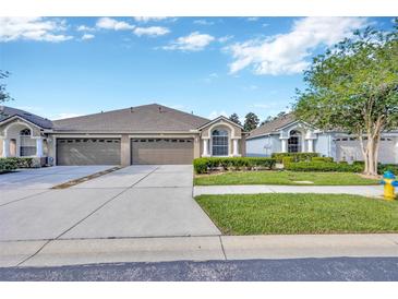 Charming single-story home with a well-manicured lawn and a two-car garage, enhancing its curb appeal at 31814 Larkenheath Dr, Wesley Chapel, FL 33543