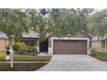 Charming single-story home featuring a well-manicured lawn, mature trees, and a two-car garage at 6517 Summer Cove Dr, Riverview, FL 33578