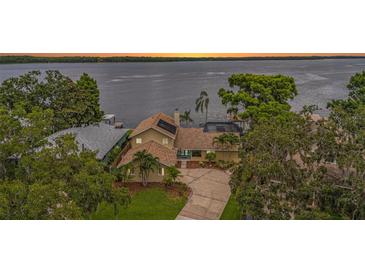 Waterfront home with palm trees, mature landscaping, and a private dock offers stunning views of the lake at 115 Lake Shore E Dr, Palm Harbor, FL 34684