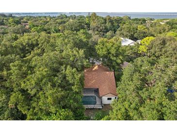 A beautiful aerial shot showing a home surrounded by dense trees and lush vegetation at 2990 Longbrooke Way, Clearwater, FL 33760