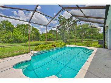 A refreshing screened-in pool with lush greenery and serene outdoor views at 7114 Cromwell Park Ln, Apollo Beach, FL 33572