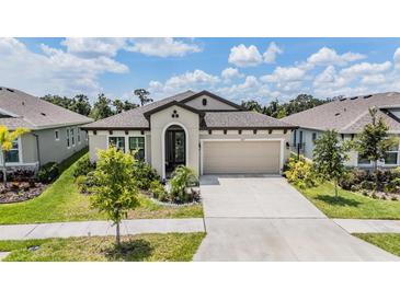 Charming one-story home with manicured lawn and inviting curb appeal at 6227 Golden Nettle Dr, Apollo Beach, FL 33572