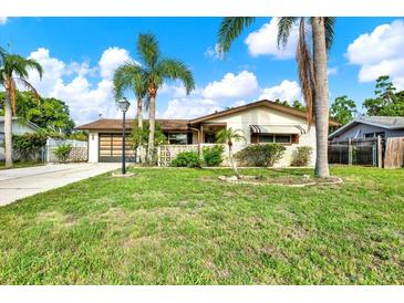 Charming single-story home with a well-manicured lawn and lush tropical landscaping at 10407 Oleander Dr, Port Richey, FL 34668