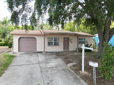 Charming single-story home with a driveway, attached garage, and a mature shade tree in the front yard at 9927 Woodridge Ct, Port Richey, FL 34668