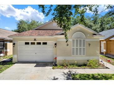 Charming single-story home featuring an attached two-car garage and well-maintained landscaping at 10401 Lakeside Vista Dr, Riverview, FL 33569