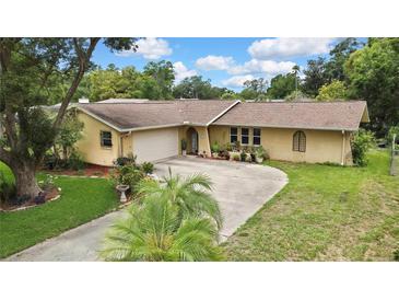 Charming single-story home with an attached garage, landscaped front yard, and a welcoming driveway at 17706 Morninghigh Dr, Lutz, FL 33549