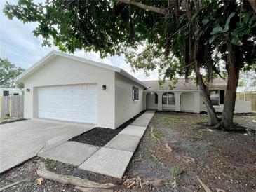 Charming home with a clean exterior, a two-car garage, and a neatly maintained front yard at 1003 Cornwall Ct, Brandon, FL 33510