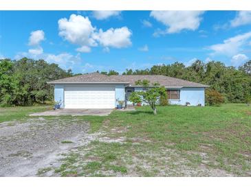 Charming single-story home with a two-car garage and well-maintained lawn at 17023 Alderman Turner Rd, Wimauma, FL 33598
