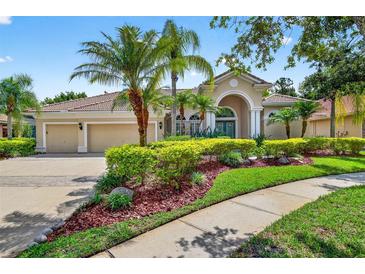 Charming home featuring a well-maintained lawn and mature trees at 17203 Talence Ct, Tampa, FL 33647