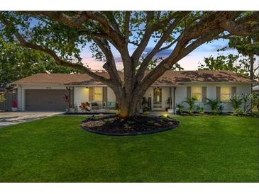 Charming single-story home with lush green lawn and mature shade tree in a desirable neighborhood at 7210 S Sparkman St, Tampa, FL 33616
