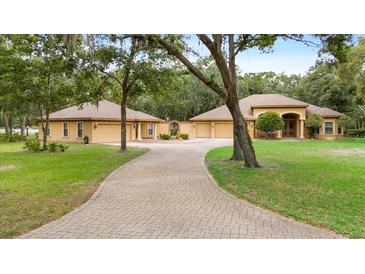 Sprawling estate featuring a long driveway leading to a well-maintained home with lush landscaping at 16608 Livingston Ave, Lutz, FL 33559