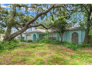 Charming single story home with a yard featuring mature landscaping and unique stone accent near arched entrance at 2418 Deltona Blvd, Spring Hill, FL 34606