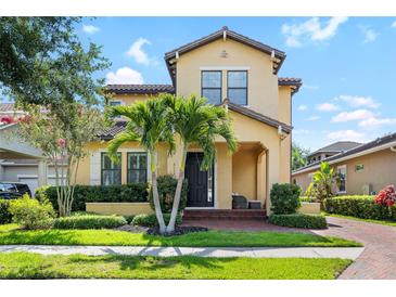 Charming two-story home featuring a manicured lawn and lush landscaping with palm trees at 6113 Yeats Manor Dr, Tampa, FL 33616