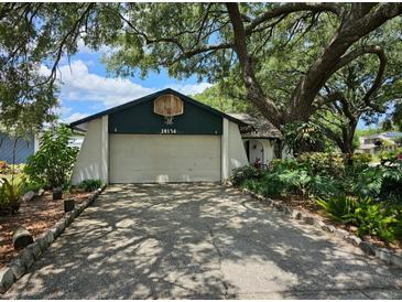 Charming home featuring a driveway and lush landscaping under a mature shady tree at 16134 Ravendale Dr, Tampa, FL 33618