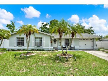 Charming single-story home featuring palm trees and a well-manicured lawn at 801 Kirkcaldy Way, Valrico, FL 33594