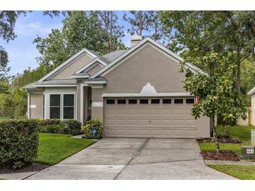Inviting home featuring a neutral color scheme, meticulously landscaped front yard, and convenient two-car garage at 9327 Hunters Park Way, Tampa, FL 33647