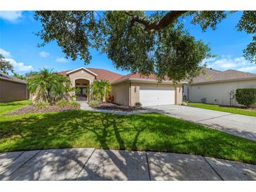 Charming single-story home featuring a well-manicured lawn, mature palm trees, and a two-car garage at 19104 Cellini Pl, Lutz, FL 33558