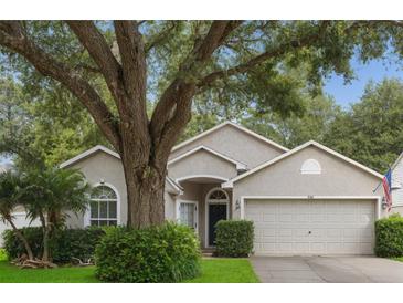 Charming one-story home with a well-maintained front yard and mature tree providing ample shade at 3101 Beaver Pond Trl, Valrico, FL 33596