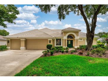 Charming home with a well-maintained lawn, a tan color scheme, and a beautiful tile roof at 9116 Woodridge Run Dr, Tampa, FL 33647