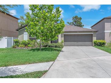 Charming single-story home with a well-maintained lawn, mature tree, and a two-car garage at 12907 Wildflower Meadow Dr, Riverview, FL 33579