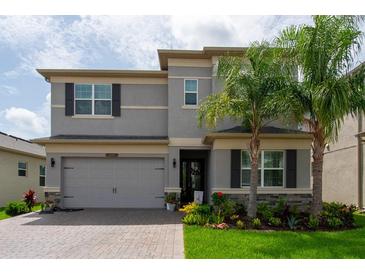 Charming two-story home with a well-manicured lawn, palm trees, and gray trim at 3144 Mountain Spruce Ter, Wesley Chapel, FL 33543
