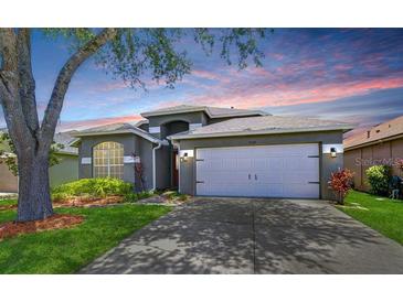 Beautiful single-story home with a well-maintained lawn, two-car garage, and landscaped front yard at sunset at 31349 Philmar Ln, Wesley Chapel, FL 33543