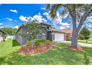 Charming single-story home with manicured lawn, mature tree, and a two-car garage at 31349 Philmar Ln, Wesley Chapel, FL 33543