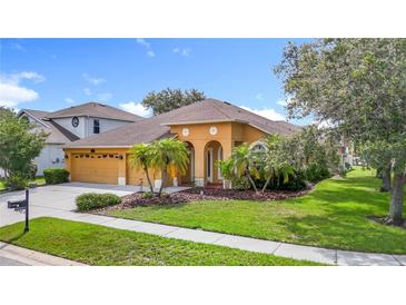 Charming single-story home featuring a well-manicured lawn, arched entryway, and a two-car garage at 3824 Duke Firth St, Land O Lakes, FL 34638