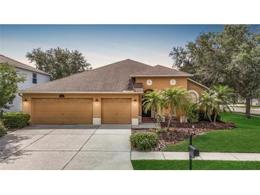 Charming single-story home with a two-car garage, manicured lawn, and lush tropical landscaping at 3824 Duke Firth St, Land O Lakes, FL 34638