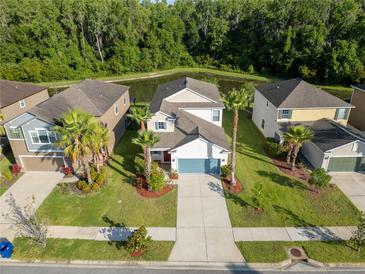 Beautiful aerial view of the residence with tropical landscaping, a pond, and surrounding homes at 1669 Ludington Ave, Wesley Chapel, FL 33543