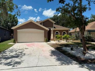 Charming single-Gathering home featuring a well-maintained lawn and a two-car garage at 904 Grand Canyon Dr, Valrico, FL 33594