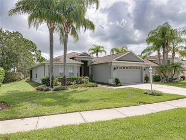 Beautiful single-story home with lush landscaping and a spacious driveway at 1338 Winding Willow Dr, Trinity, FL 34655