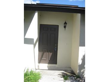 Welcoming front entrance with a classic brown door and decorative exterior lighting fixture at 5301 Hopedale Dr, Tampa, FL 33624