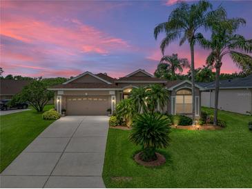Charming single-story home featuring a well-manicured lawn, mature palm trees, and a welcoming two-car garage at 12413 Woodlands Cir, Dade City, FL 33525