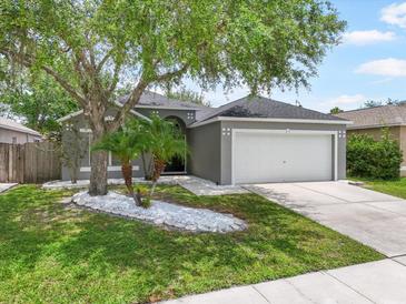 Charming single-story home featuring a two-car garage, landscaped yard, and mature trees at 24841 Mary Beth Ct, Land O Lakes, FL 34639