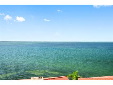 Expansive ocean view from this condo; perfect spot for relaxation with rooftop detail shown at 6372 Palma Del Mar S Blvd # 601, St Petersburg, FL 33715