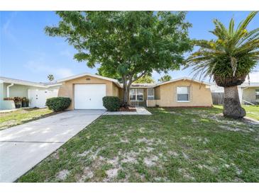 Charming single-story home with a well-manicured lawn and mature trees at 8804 Lido Ln, Port Richey, FL 34668