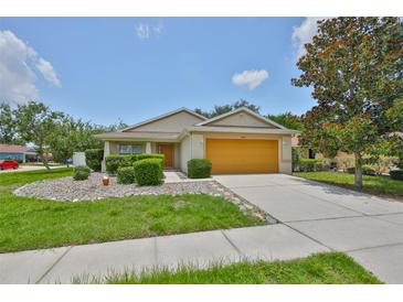 Charming single-story home featuring a well-manicured lawn and a two-car garage at 11415 Bright Star Ln, Riverview, FL 33569