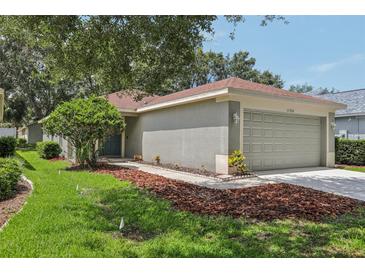 Charming one-story home with well-maintained lawn and landscaping, and an attached two-car garage at 11708 Crest Creek Dr, Riverview, FL 33569