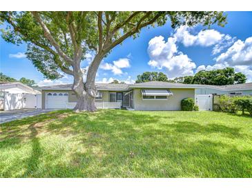 Charming single-story home featuring a lush lawn and mature tree, creating a welcoming curb appeal at 12033 82Nd Ave, Seminole, FL 33772