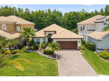 An aerial shot showing the house, manicured lawns, paver driveway, and tropical landscaping at 10880 Cory Lake Dr, Tampa, FL 33647